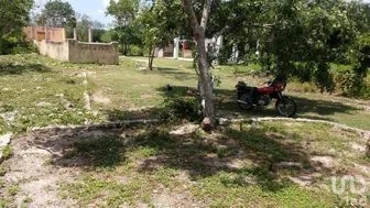 NEX-284498 - Terreno en Venta en Dzununcán, CP 97315, Yucatán.