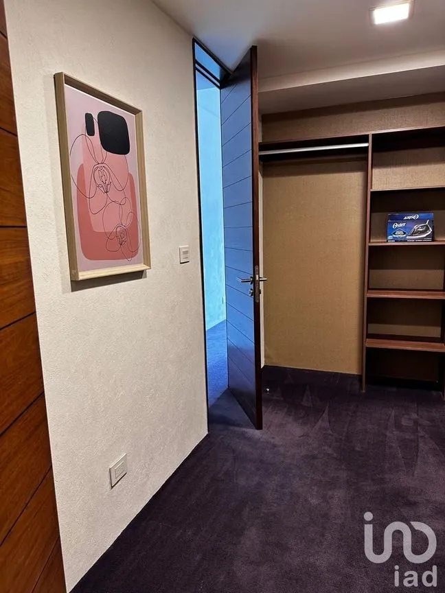 Departamento en Renta en Ampliación Granada, Miguel Hidalgo, Ciudad de México | NEX-228308 | iad México | Foto 9 de 31