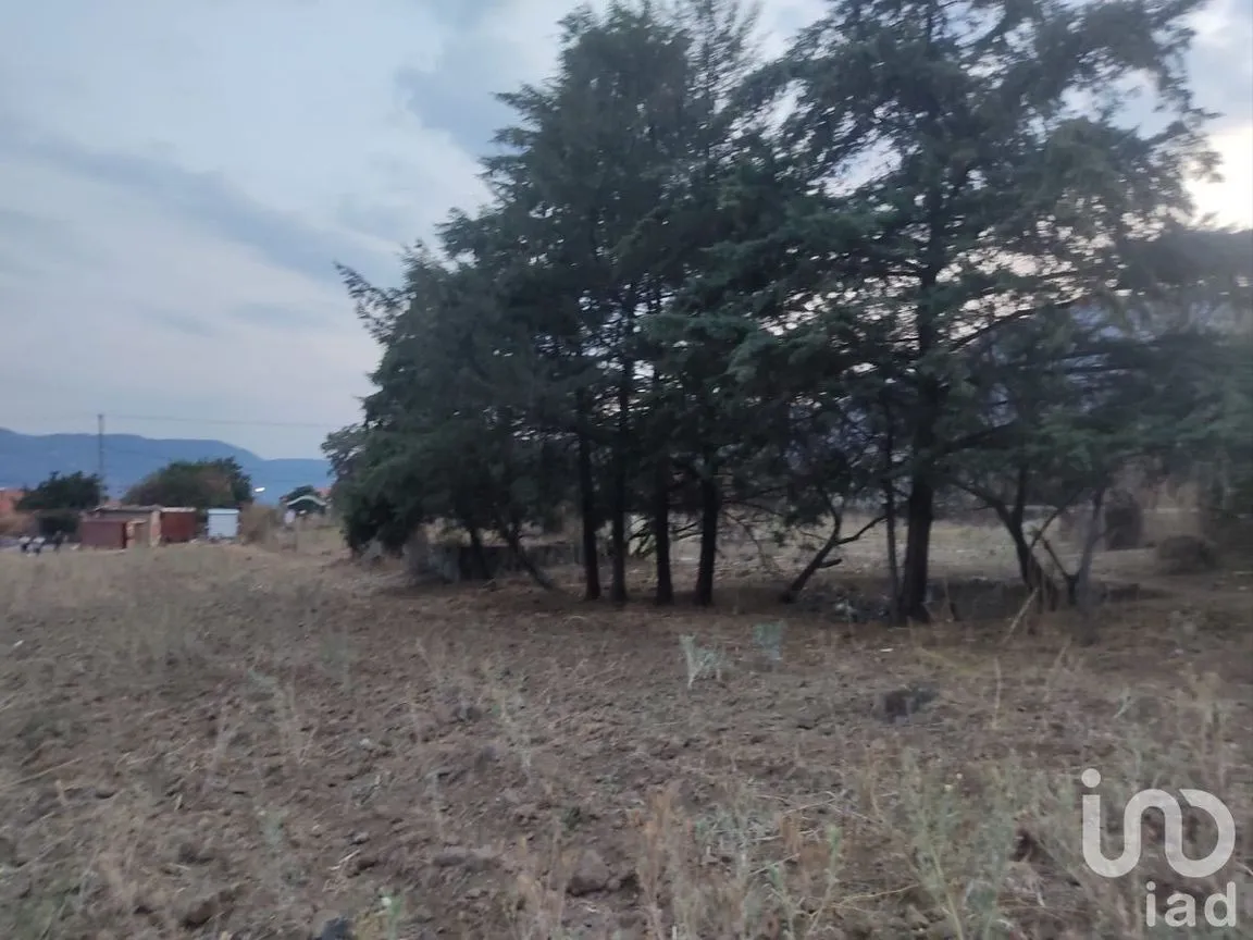 Terreno en Venta en San Juan, Malinalco, Estado De México | NEX-229444 | iad México | Foto 4 de 4