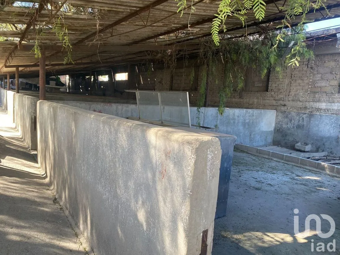 Terreno en Renta en San Francisco Coacalco (Cabecera Municipal), Coacalco de Berriozábal, Estado de México | NEX-272679 | iad México | Foto 2 de 6