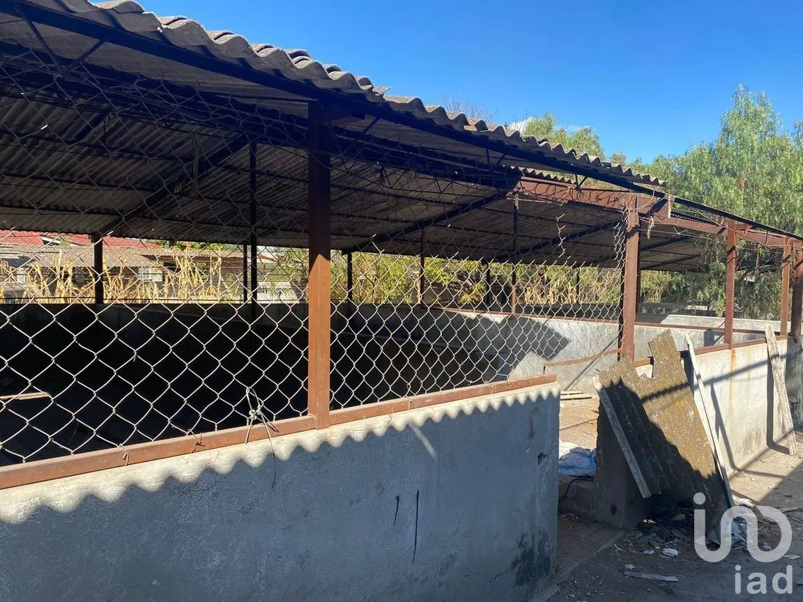 Terreno en Renta en San Francisco Coacalco (Cabecera Municipal), Coacalco de Berriozábal, Estado de México | NEX-272679 | iad México | Foto 5 de 6