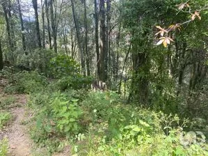 NEX-272682 - Terreno en Venta en San Luis Ayucan, CP 54570, Estado de México.