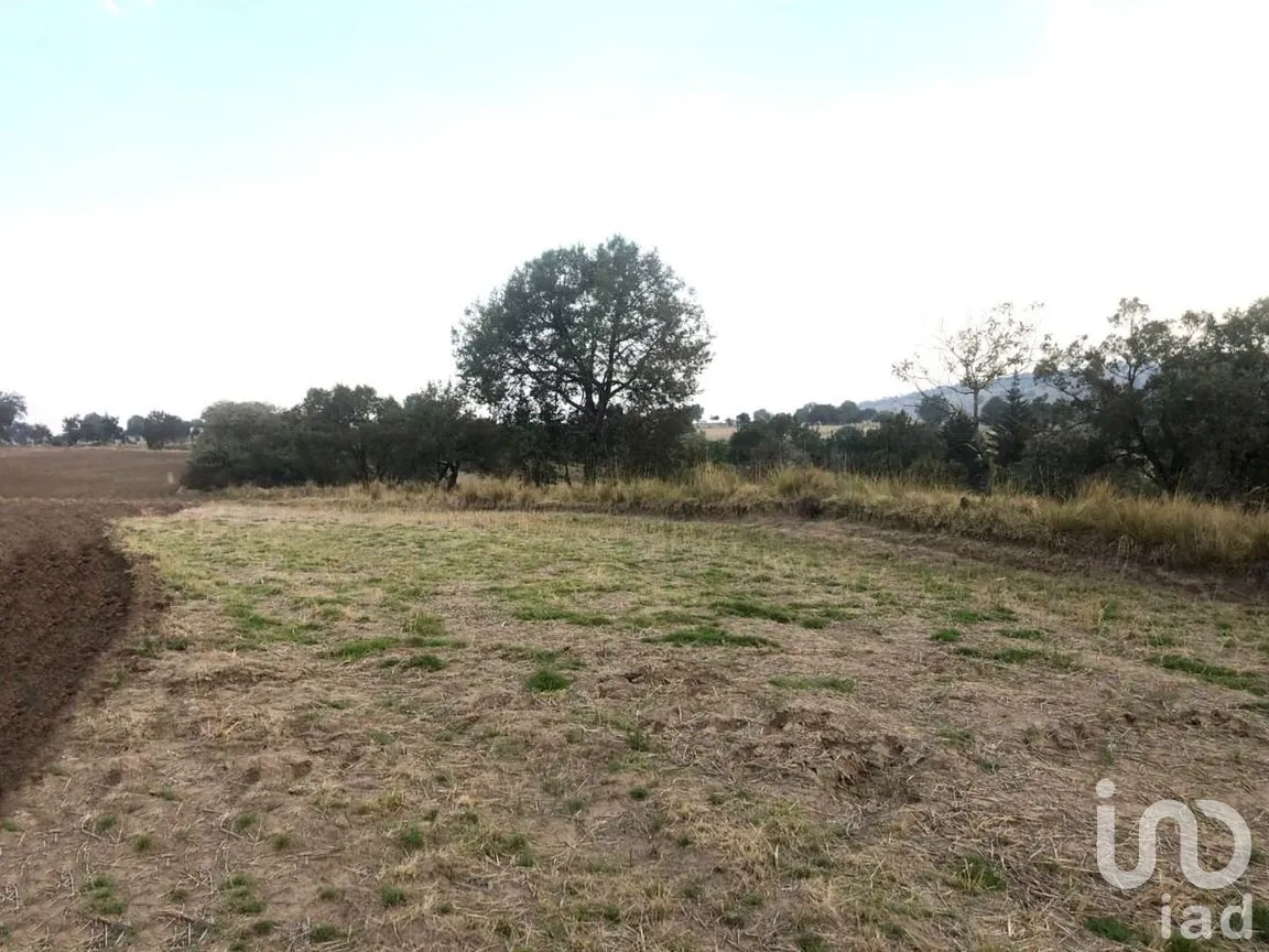 Terreno en Venta en Sanctórum, Sanctórum de Lázaro Cárdenas, Tlaxcala | NEX-274477 | iad México | Foto 3 de 4