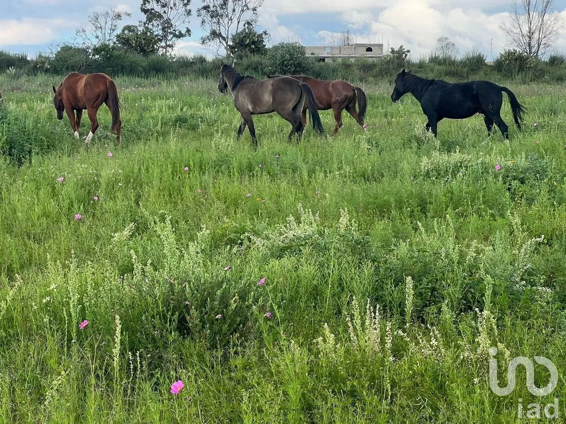 Terreno en Venta en Bañe, Aculco, Estado de México | NEX-274479 | iad México | Foto 2 de 18
