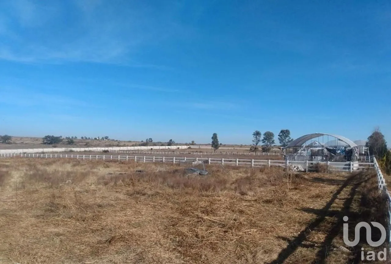 Terreno en Venta en Bañe, Aculco, Estado de México | NEX-274479 | iad México | Foto 12 de 18