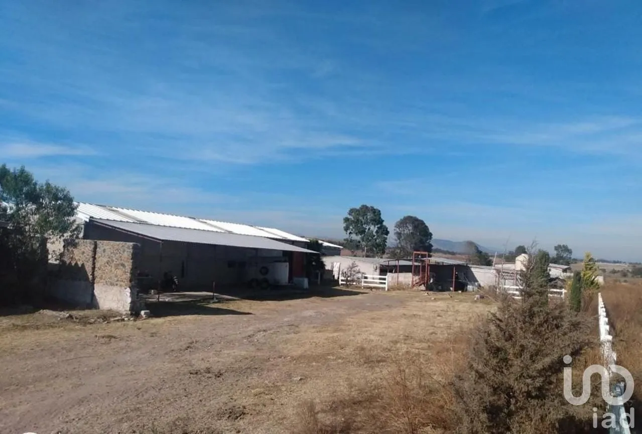 Terreno en Venta en Bañe, Aculco, Estado de México | NEX-274479 | iad México | Foto 13 de 18