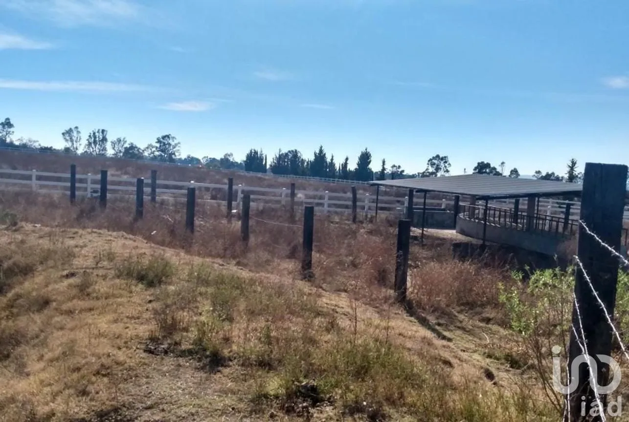 Terreno en Venta en Bañe, Aculco, Estado de México | NEX-274479 | iad México | Foto 14 de 18