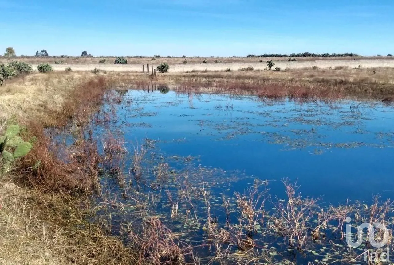 Terreno en Venta en Bañe, Aculco, Estado de México | NEX-274479 | iad México | Foto 18 de 18