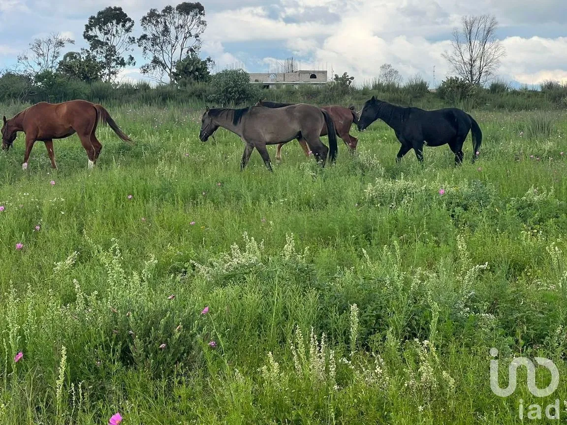 Terreno en Venta en Bañe, Aculco, Estado de México | NEX-274479 | iad México | Foto 3 de 18