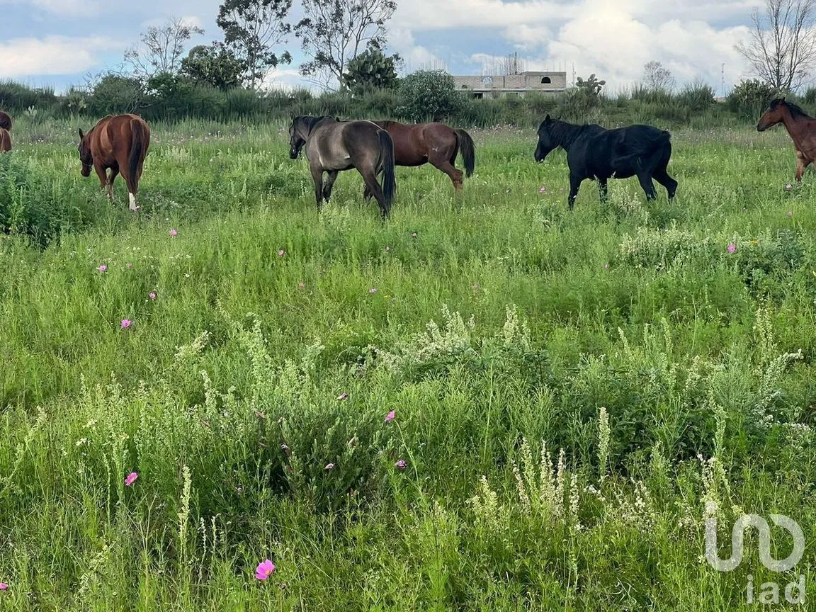 Terreno en Venta en Bañe, Aculco, Estado de México | NEX-274479 | iad México | Foto 4 de 18