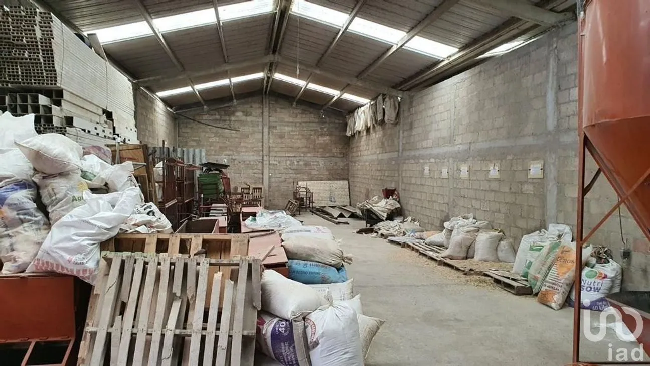 Terreno en Venta en Bañe, Aculco, Estado de México | NEX-274479 | iad México | Foto 6 de 18