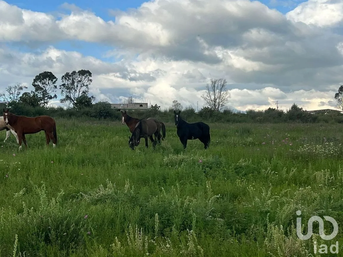 Terreno en Venta en Bañe, Aculco, Estado de México | NEX-274479 | iad México | Foto 1 de 18