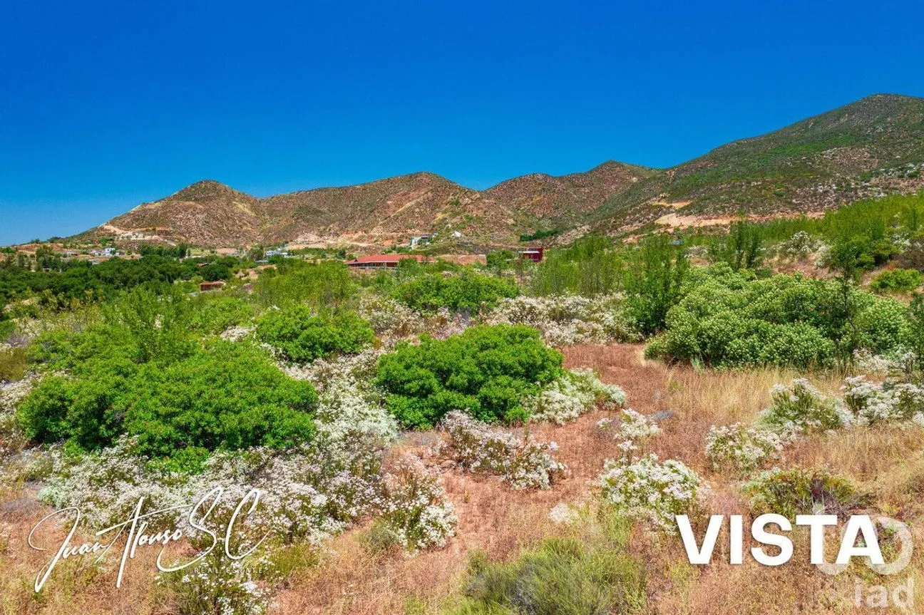 Terreno en Venta en San Antonio de Las Minas, Ensenada, Baja California | NEX-230308 | iad México | Foto 5 de 16