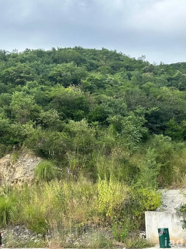 Terreno en Venta en Santa Isabel, Monterrey, Nuevo León | NEX-229624 | iad México | Foto 3 de 6