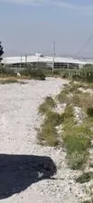 NEX-267334 - Terreno en Venta en San Francisco, CP 25353, Coahuila.