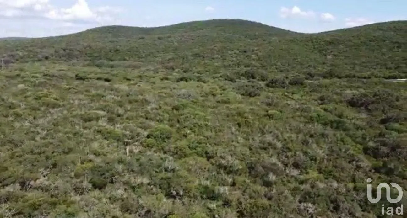Terreno en Venta en Benito Juárez (La Coma), San Carlos, Tamaulipas | NEX-294541 | iad México | Foto 2 de 5