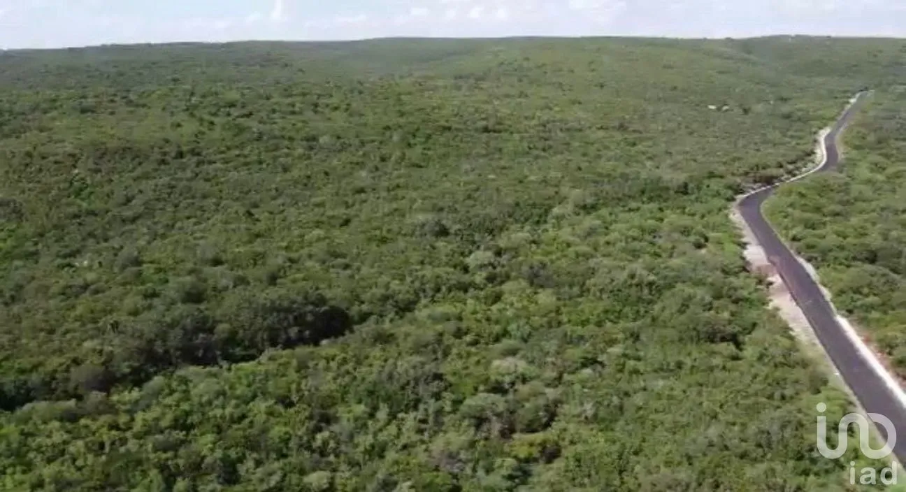 Terreno en Venta en Benito Juárez (La Coma), San Carlos, Tamaulipas | NEX-294541 | iad México | Foto 4 de 5