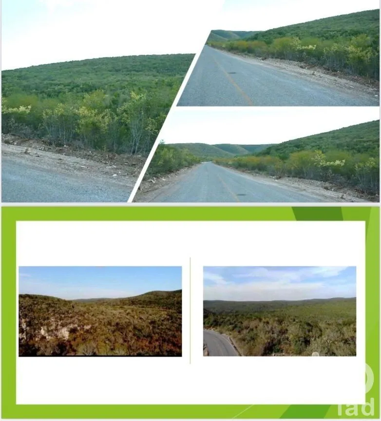 Terreno en Venta en Benito Juárez (La Coma), San Carlos, Tamaulipas | NEX-294541 | iad México | Foto 5 de 5