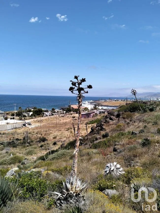 Terreno en Venta en Mar de Ensenada, Ensenada, Baja California | NEX-228182 | iad México | Foto 7 de 11