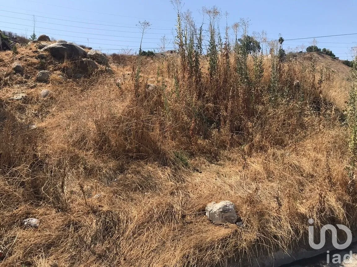 Terreno en Venta en Mariano Matamoros (Centro), Tijuana, Baja California | NEX-278926 | iad México | Foto 3 de 8