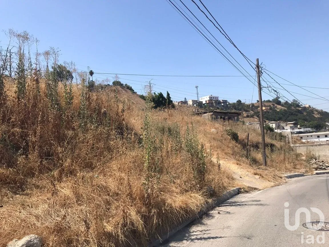 Terreno en Venta en Mariano Matamoros (Centro), Tijuana, Baja California | NEX-278926 | iad México | Foto 6 de 8