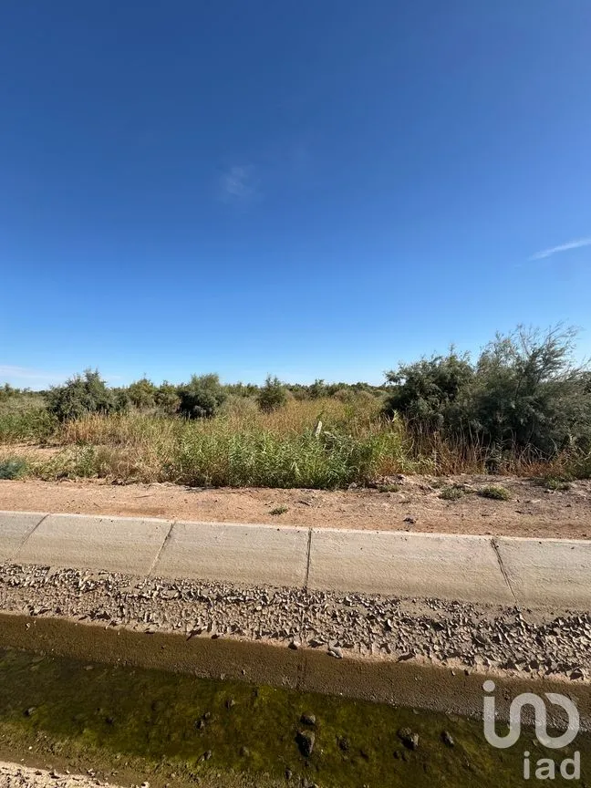 Terreno en Venta en Venustiano Carranza (Estación Coahuila Km. 57), Mexicali, Baja California | NEX-275582 | iad México | Foto 1 de 3