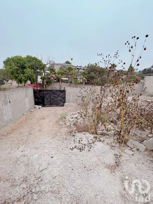 Terreno en Venta en Ejido Lázaro Cárdenas, Tijuana, Baja California | NEX-275584 | iad México | Foto 7 de 15