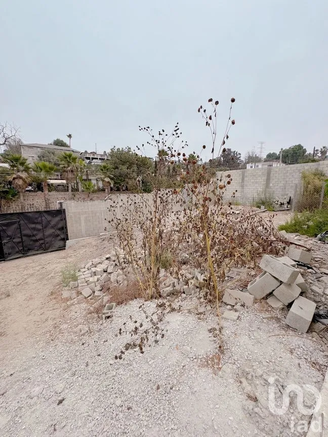 Terreno en Venta en Ejido Lázaro Cárdenas, Tijuana, Baja California | NEX-275584 | iad México | Foto 8 de 15