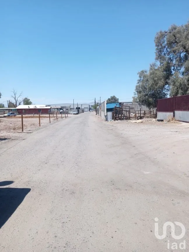 Terreno en Venta en Granjas Virreyes, Mexicali, Baja California | NEX-276415 | iad México | Foto 12 de 14