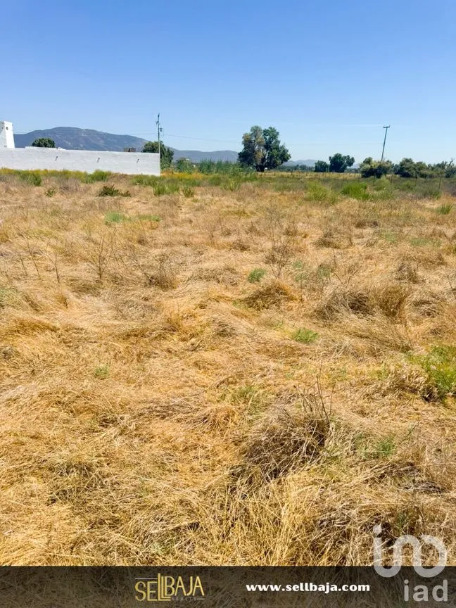 Terreno en Venta en El Porvenir, Ensenada, Baja California | NEX-277477 | iad México | Foto 2 de 4
