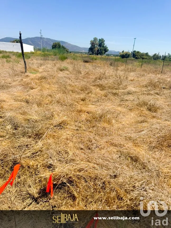Terreno en Venta en El Porvenir, Ensenada, Baja California | NEX-277477 | iad México | Foto 3 de 4
