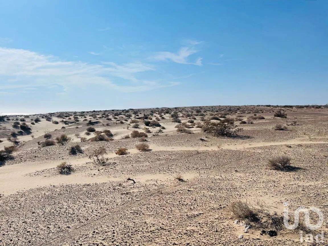 Terreno en Venta en Puerto Peñasco Centro, Puerto Peñasco, Sonora | NEX-282001 | iad México | Foto 16 de 22