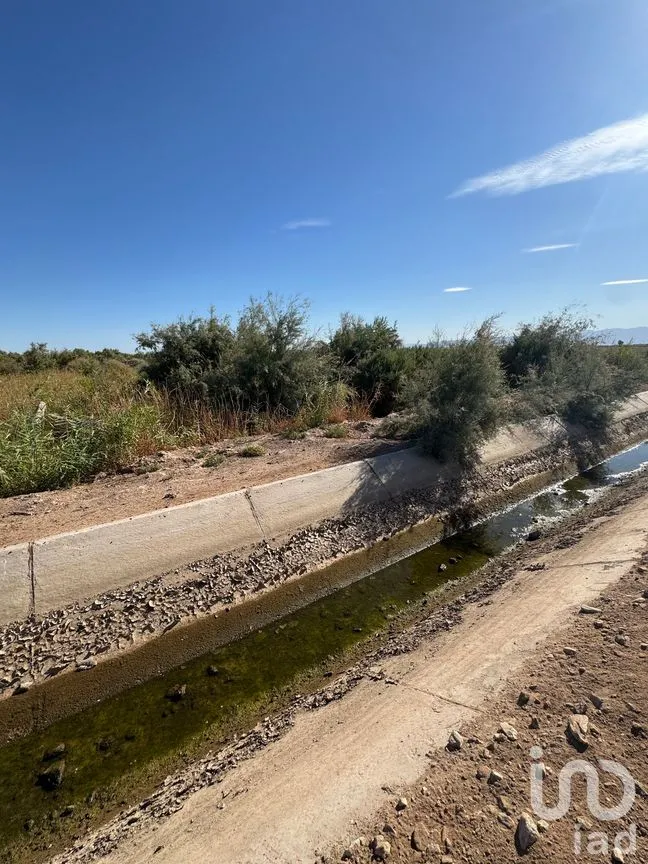Terreno en Venta en Venustiano Carranza (Estación Coahuila Km. 57), Mexicali, Baja California | NEX-282003 | iad México | Foto 4 de 10