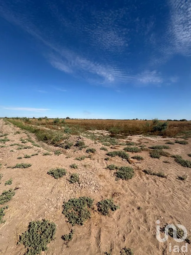 Terreno en Venta en Venustiano Carranza (Estación Coahuila Km. 57), Mexicali, Baja California | NEX-282003 | iad México | Foto 8 de 10