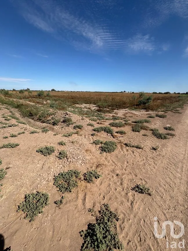 Terreno en Venta en Venustiano Carranza (Estación Coahuila Km. 57), Mexicali, Baja California | NEX-282003 | iad México | Foto 9 de 10