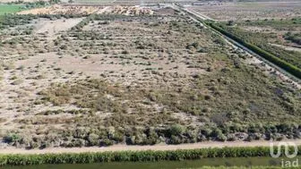 NEX-282003 - Terreno en Venta en Venustiano Carranza (Estación Coahuila Km. 57), CP 21800, Baja California.