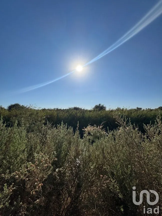 Terreno en Venta en Venustiano Carranza (Estación Coahuila Km. 57), Mexicali, Baja California | NEX-282004 | iad México | Foto 3 de 5
