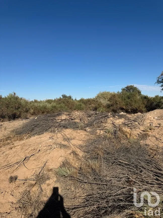 Terreno en Venta en Venustiano Carranza (Estación Coahuila Km. 57), Mexicali, Baja California | NEX-282004 | iad México | Foto 4 de 5