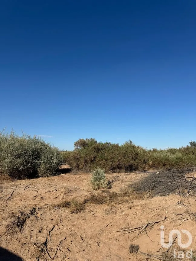 Terreno en Venta en Venustiano Carranza (Estación Coahuila Km. 57), Mexicali, Baja California | NEX-282004 | iad México | Foto 5 de 5