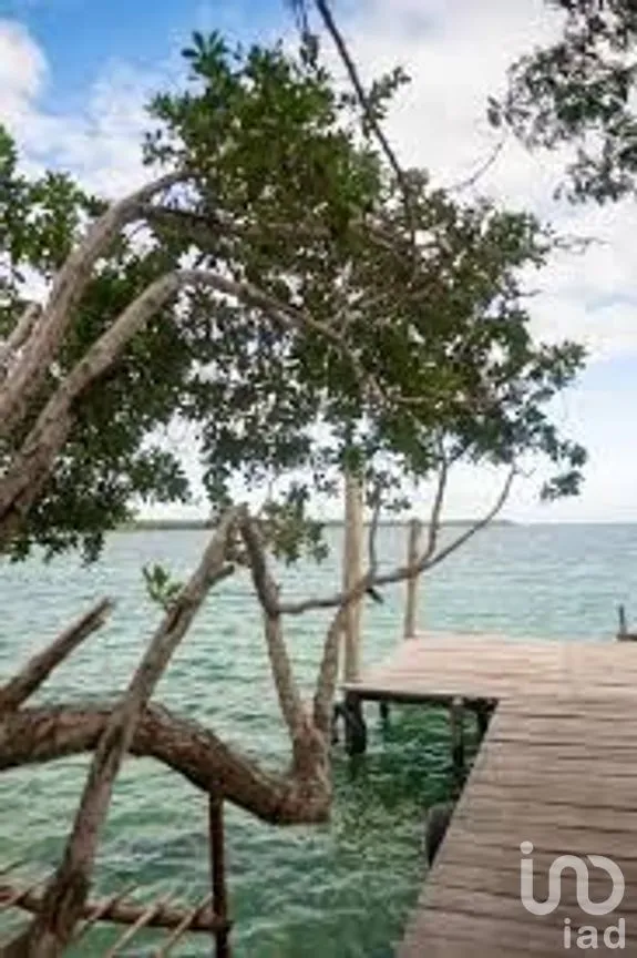 Terreno en Venta en Buenavista, Bacalar, Quintana Roo | NEX-267628 | iad México | Foto 4 de 8