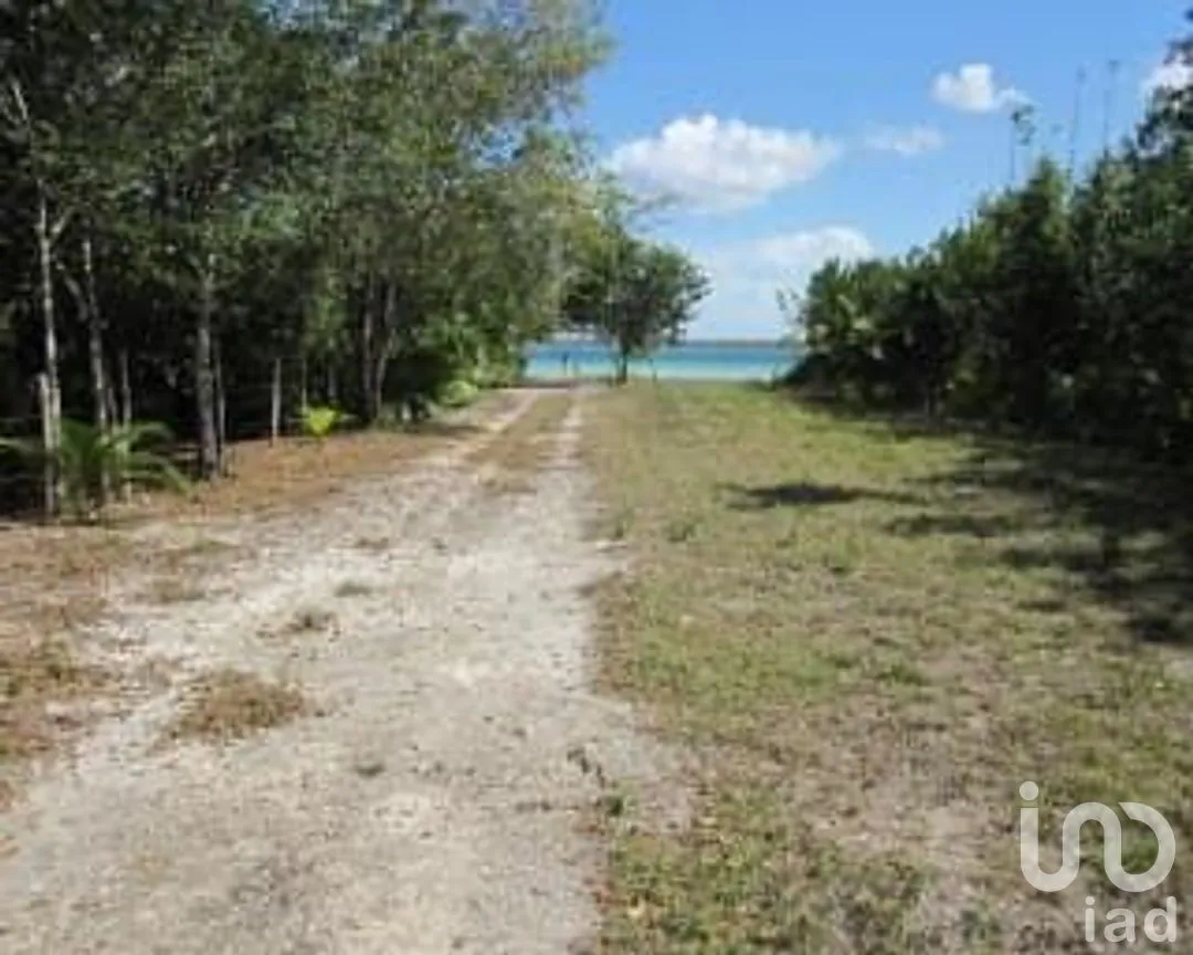 Terreno en Venta en Buenavista, Bacalar, Quintana Roo | NEX-267628 | iad México | Foto 7 de 8