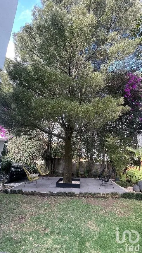 Casa en Venta en San Jerónimo Aculco, Álvaro Obregón, Ciudad de México | NEX-229585 | iad México | Foto 5 de 24