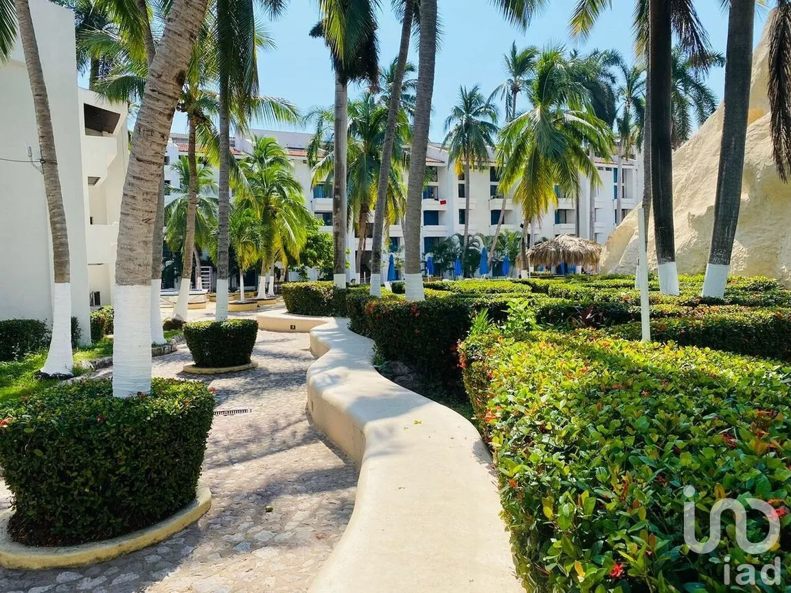 Departamento en Renta en Ixtapa, Zihuatanejo de Azueta, Guerrero | NEX-269864 | iad México | Foto 8 de 15