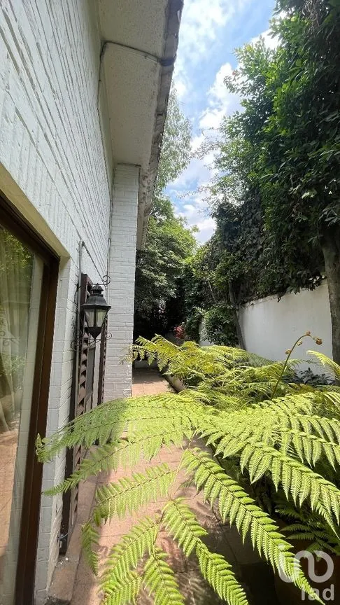 Casa en Venta en Lomas de Chapultepec I Sección, Miguel Hidalgo, Ciudad de México | NEX-271155 | iad México | Foto 14 de 38