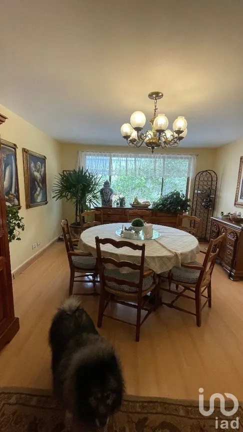 Casa en Venta en Lomas de Chapultepec I Sección, Miguel Hidalgo, Ciudad de México | NEX-271155 | iad México | Foto 19 de 38