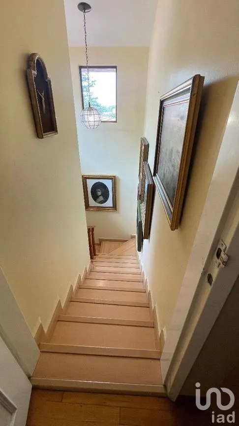 Casa en Venta en Lomas de Chapultepec I Sección, Miguel Hidalgo, Ciudad de México | NEX-271155 | iad México | Foto 24 de 38
