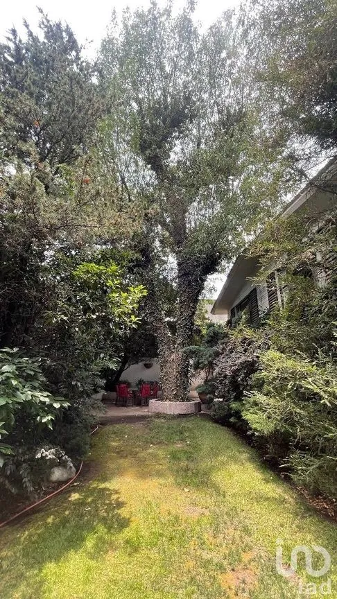 Casa en Venta en Lomas de Chapultepec I Sección, Miguel Hidalgo, Ciudad de México | NEX-271155 | iad México | Foto 6 de 38