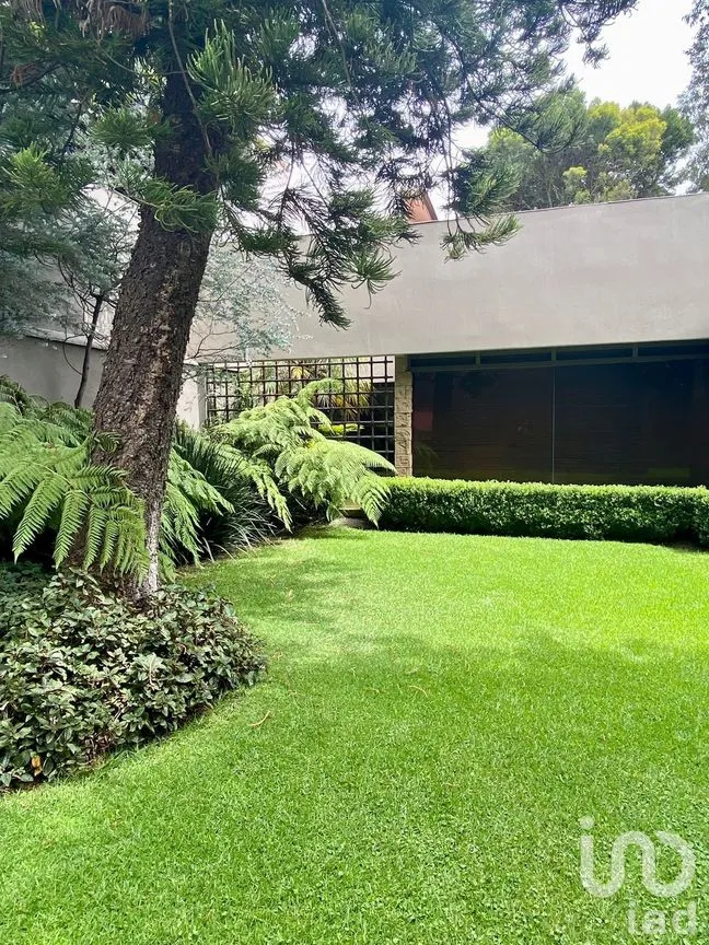 Casa en Venta en Bosques de las Lomas, Cuajimalpa de Morelos, Ciudad de México | NEX-275029 | iad México | Foto 11 de 29
