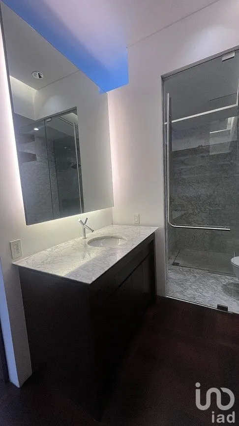 Departamento en Venta en Polanco IV Sección, Miguel Hidalgo, Ciudad de México | NEX-288384 | iad México | Foto 31 de 35