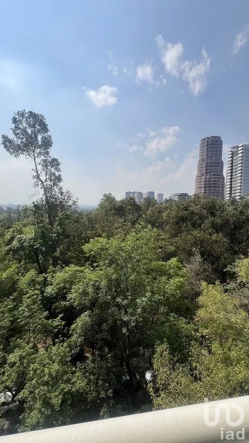 Departamento en Venta en Polanco IV Sección, Miguel Hidalgo, Ciudad de México | NEX-288385 | iad México | Foto 31 de 43